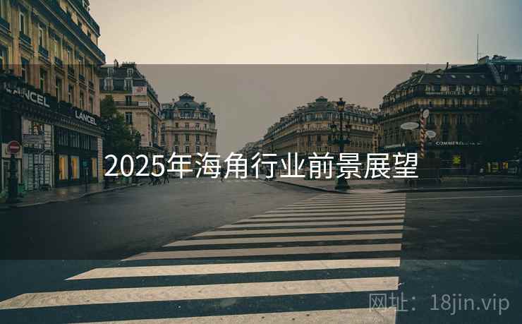 2025年海角行业前景展望