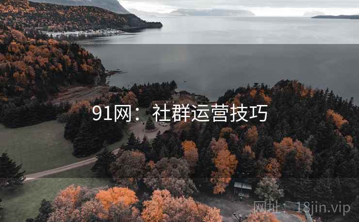 91网:社群运营技巧