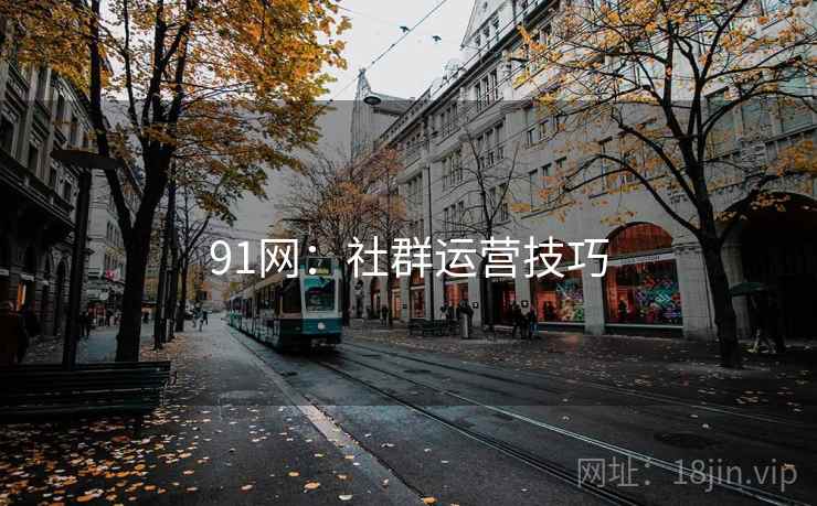 91网:社群运营技巧