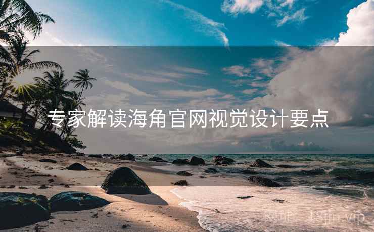 专家解读海角官网视觉设计要点