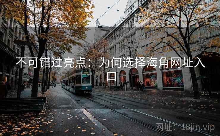 不可错过亮点:为何选择海角网址入口