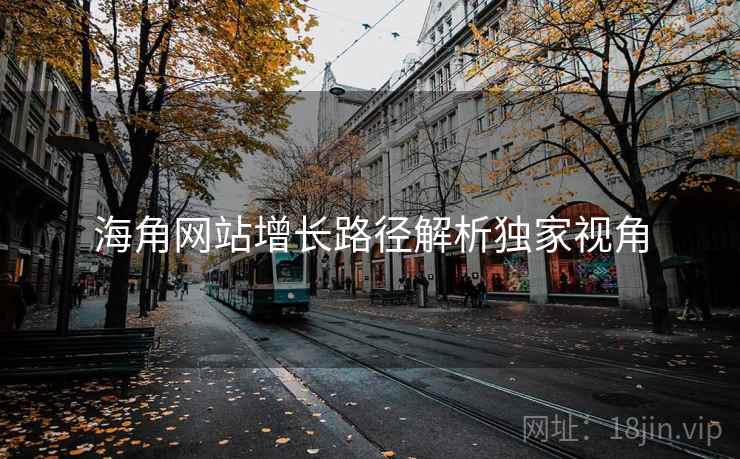海角网站增长路径解析独家视角