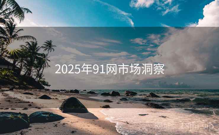 2025年91网市场洞察
