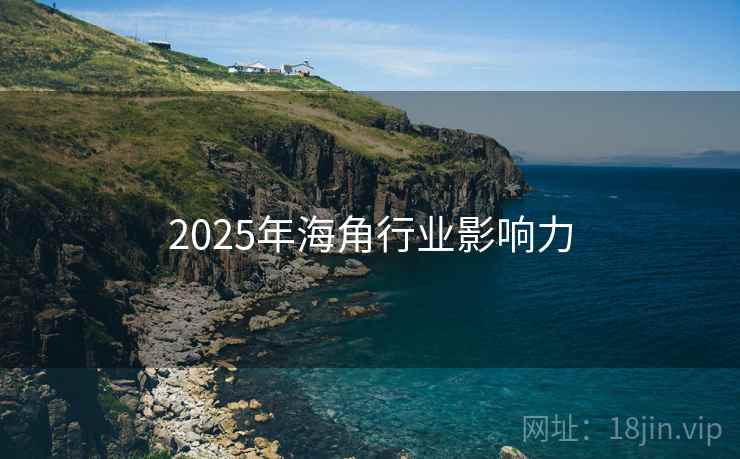 2025年海角行业影响力