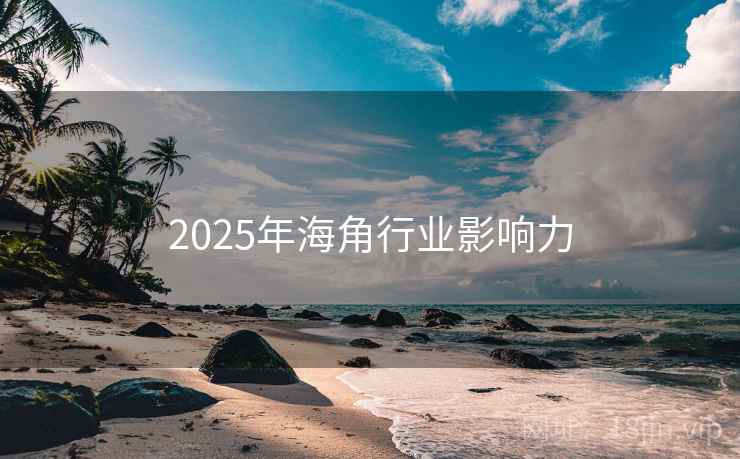 2025年海角行业影响力