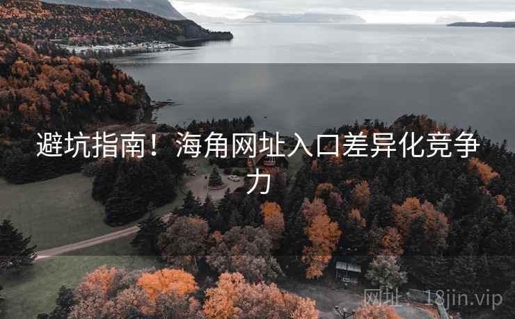 避坑指南！海角网址入口差异化竞争力